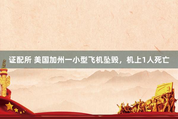 证配所 美国加州一小型飞机坠毁，机上1人死亡
