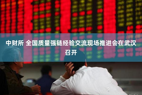 中财所 全国质量强链经验交流现场推进会在武汉召开