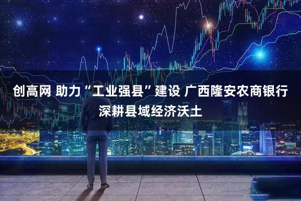 创高网 助力“工业强县”建设 广西隆安农商银行深耕县域经济沃土